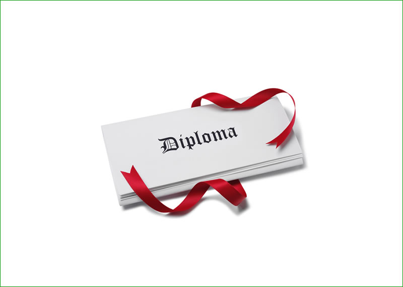 Diploma Programmes